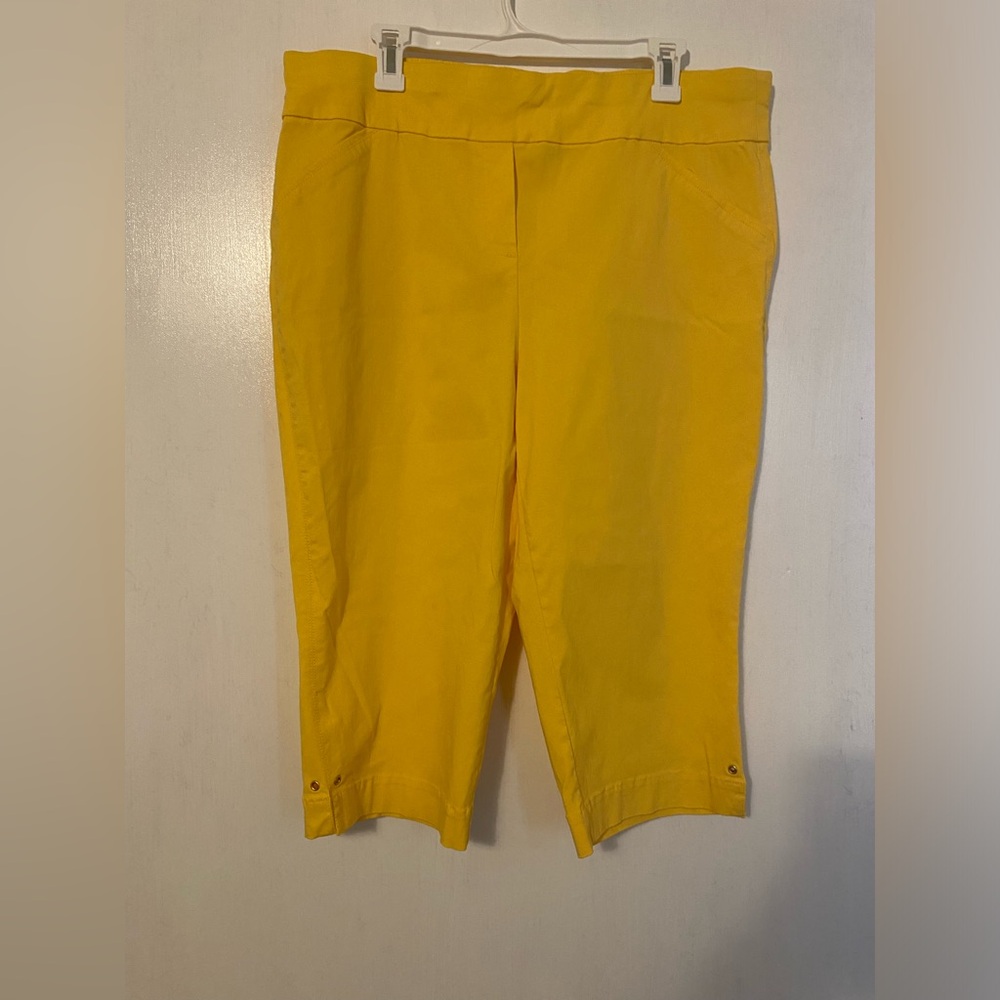 Alfred Dunner size 16